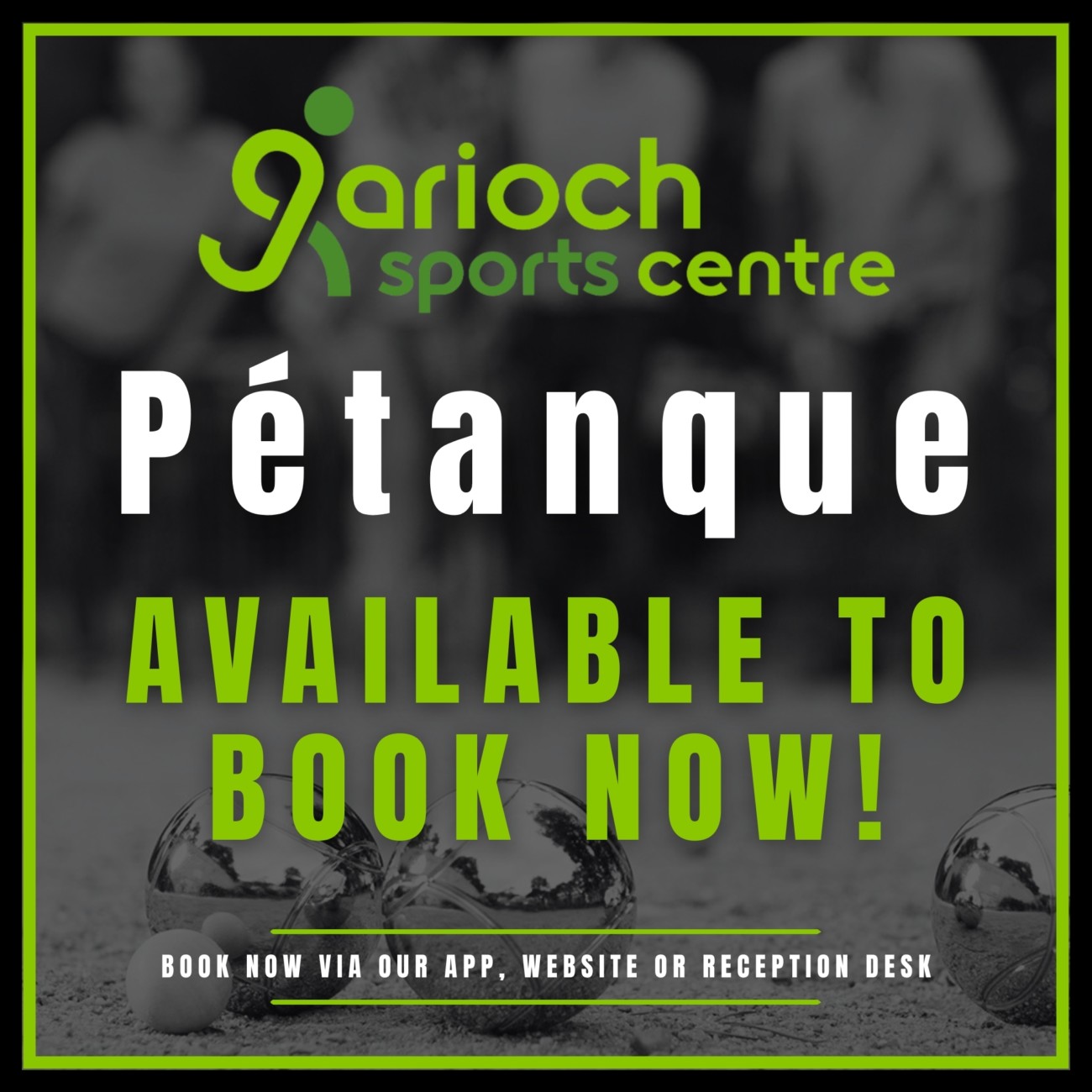 Petanque Now Available